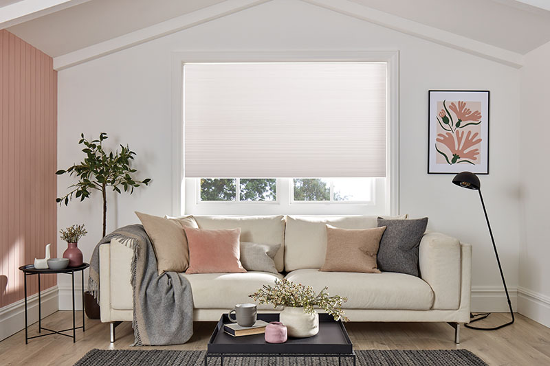 cellular pleated blind in living room